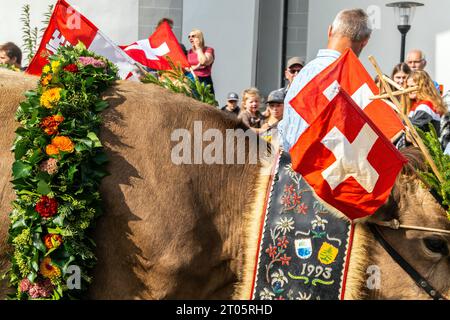 Kühe, die für diesen Anlass gekleidet sind, steigen von den Almen in das Dorf Kerns ab, wo die jährliche Alpenkuhparade stattfindet. Kerns ist ein Dorfbewohner Stockfoto