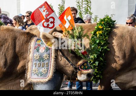 Kühe, die für diesen Anlass gekleidet sind, steigen von den Almen in das Dorf Kerns ab, wo die jährliche Alpenkuhparade stattfindet. Kerns ist ein Dorfbewohner Stockfoto