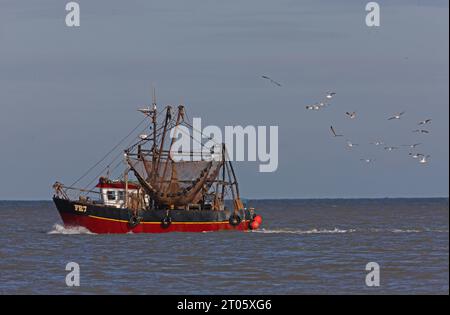 Fischerboot auf ruhigem Meer mit Möwen hinter Eccles-on-Sea, Norfolk, Großbritannien. Oktober Stockfoto