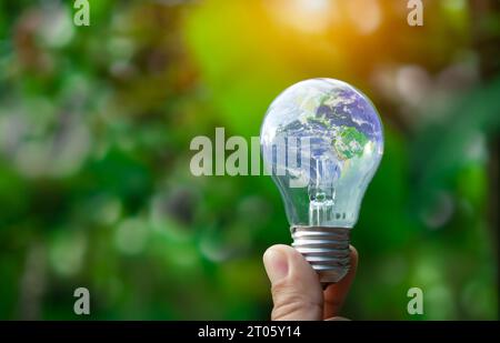 Konzept der erneuerbaren Energien, des Umweltschutzes und der nachhaltigen erneuerbaren Energiequellen. Weltkarte auf einer Glühbirne, die auf einer Natur im Hintergrund steht Stockfoto