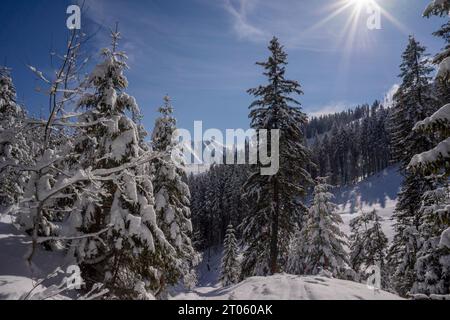 Winterlandschaft der westlichen Tatra. Chocholowska Glade Area. Stockfoto