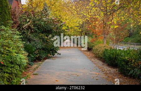 Wunderschöne Gasse im Park mit bunten Bäumen. Stone Pathway in einem üppigen Green Park. Natürlicher Herbst-Hintergrund. Herbstgasse, gelbe Bäume, warmer Herbst Stockfoto