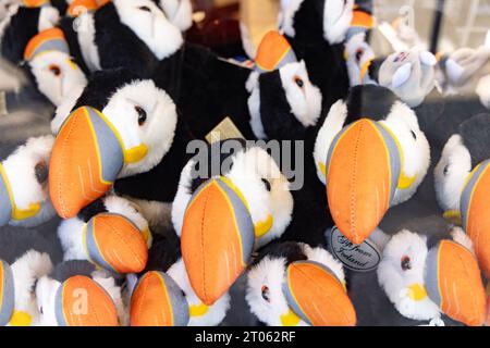 Island Geschenke und Souvenirs - Spielzeug Papageientaucher in einem Souvenirladen, Reykjavik Island. Island Tourismus Stockfoto