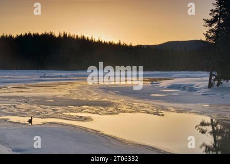 Gefrorener Paulina Lake in der Caldera des Newberry Crater Vulkans bei Sonnenaufgang im Winter, Newberry National Volcanic Monument, Oregon, USA Stockfoto