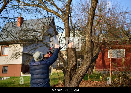 Ein Gärtner auf einer hohen Leiter beschneidet im Herbst Bäume im Garten Stockfoto