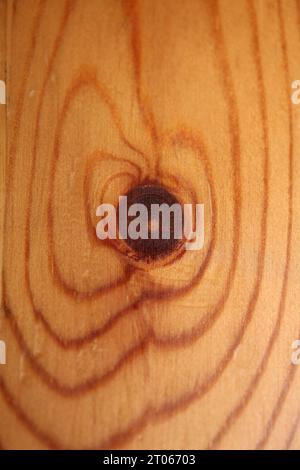 Hölzerne fehlende braune Oberfläche Makro Schließen abstrakte Texturplatte aus Kiefernholz mit einem Ast Auge Knoten Loch Hintergrund brauner gelber hölzerner Stock Foto Stockfoto