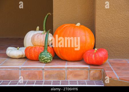 Kürbisse in verschiedenen Formen und Größen schmücken den Außenbereich in der Nähe des Hauses und schaffen eine festliche und einladende Herbstszene. Stockfoto