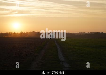 Landwirtschaft mit Blick Stockfoto