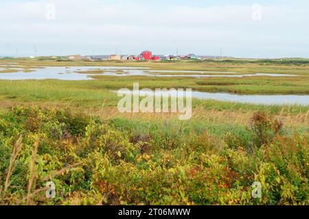 Blick auf Covehead Harbour über die Feuchtgebiete von Stanhope, Prince Edward Island, Kanada Stockfoto