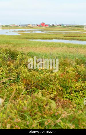 Blick auf Covehead Harbour über die Feuchtgebiete von Stanhope, Prince Edward Island, Kanada Stockfoto