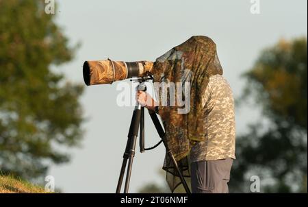 Lutherstadt Wittenberg, Deutschland. September 2023. 28.09.2023. Ein Naturfotograf steht auf einem Deich bei den Elbwiesen an der Elbe, etwa zehn Kilometer südöstlich von Lutherstadt Wittenberg, und blickt durch seine Kamera, an der ein leistungsstarkes Teleobjektiv befestigt ist. Über seinem Kopf trägt der Mann ein Tarnnetz, denn wilde Tiere und seltene Vögel erkennen Menschen besonders gut an ihrer Silhouette und ihrem Gesicht. Quelle: Wolfram Steinberg/dpa/Alamy Live News Stockfoto