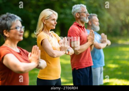 Yoga Im Freien. Gruppe Glücklicher Senioren, Die Gemeinsam Meditieren Stockfoto