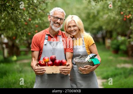 Glückliches Älteres Ehepaar Posiert Im Obstgarten Mit Kiste Voller Äpfel Stockfoto