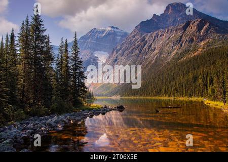 Bäume drücken das Licht des frühen Morgenlichts ein, während sich Schatten auf die Oberfläche des Cavell Lake und den Fuß des Mt. Edith Cavell im Jasper National Park, ab, erstrecken Stockfoto