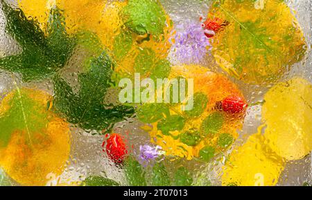 Heller Herbsthintergrund. Herbstliche gelbe und grüne Blätter, Hüftrosen auf regnerischer Glasstruktur, abstrakter natürlicher Hintergrund. Konzept der Herbstsaison. Regnerisch Stockfoto