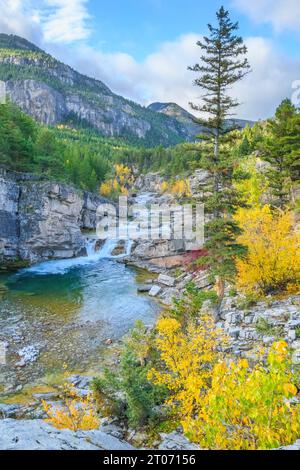 Herbstfarben entlang des dearborn River im Devil glen Gebiet der Sündenbock-Wildnis im lewis and clark National Forest in der Nähe von augusta, montana Stockfoto