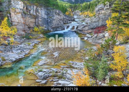 Herbstfarben entlang des dearborn River im Devil glen Gebiet der Sündenbock-Wildnis im lewis and clark National Forest in der Nähe von augusta, montana Stockfoto