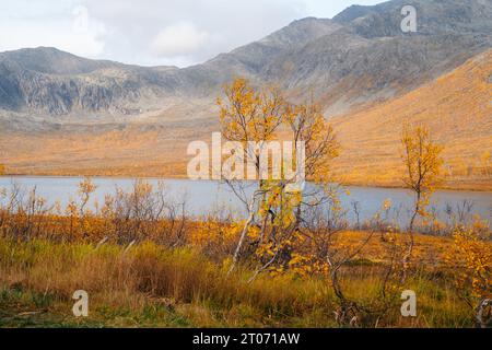 Herbst in Tromso und der Nachbarinsel Kvaloya Stockfoto