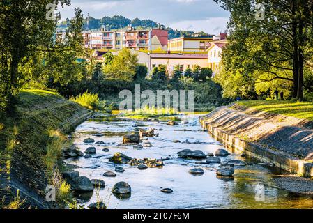 Blick auf den Gebirgsfluss Ropa, an dessen Ufern sich die antike Stadt Gorlica in Polen befindet. Stockfoto