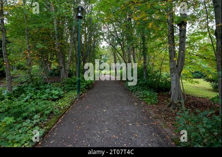 Akureyri Botanical Gardens, Island am kühlen Herbstnachmittag. Stockfoto