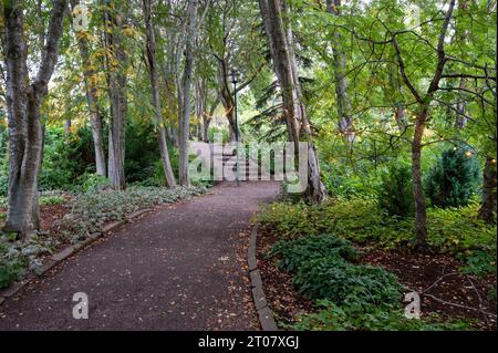 Akureyri Botanical Gardens, Island am kühlen Herbstnachmittag. Stockfoto