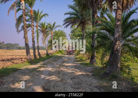 Bauern tragen Reisscheiben auf dem Traktor in Jashore, Bangladesch. Stockfoto