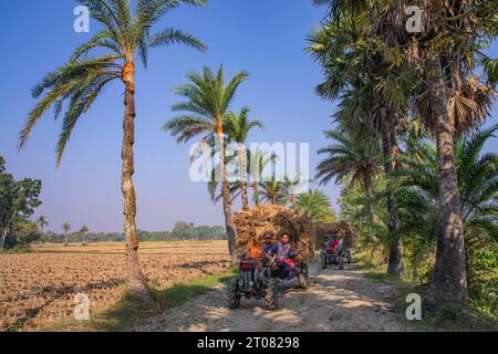 Bauern tragen Reisscheiben auf dem Traktor in Jashore, Bangladesch. Stockfoto