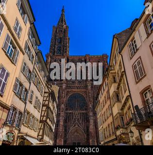 Fassade und Turm der Kathedrale Notre Dame und kunstvolle traditionelle Fachwerkhäuser mit steilen Dächern umgeben sie in Straßburg, Elsass, Frankreich Stockfoto