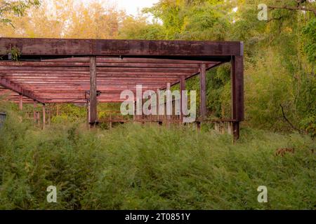Alte Stahlkonstruktion, Balken und Säulen, in bewachsenen Hölzern. Stockfoto