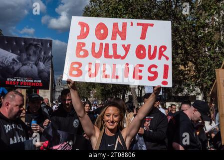Protest gegen das Verbot von XL-Bully-Hunden im Vereinigten Königreich bis Ende 2023. Die XL ist eine Variante der amerikanischen Bully-Rasse. Schikanieren Sie nicht unser Mobbing-Plakat Stockfoto