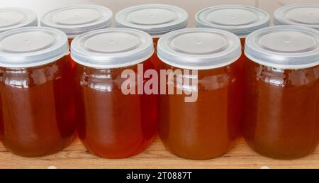 Nahaufnahme von frischem Buchweizenhonig in Gläsern auf dem Tisch. Stockfoto