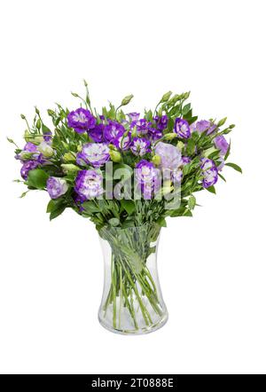 Wunderschöner riesiger Strauß von violett-weißem Lisianthus in Vase auf weißem Hintergrund. Stockfoto