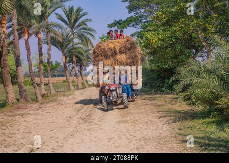 Bauern tragen Reisscheiben auf dem Traktor in Jashore, Bangladesch. Stockfoto