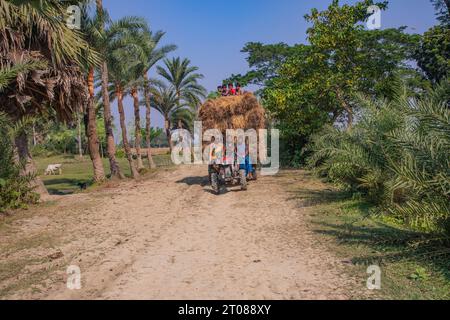 Bauern tragen Reisscheiben auf dem Traktor in Jashore, Bangladesch. Stockfoto