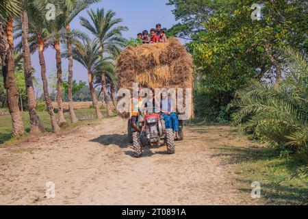 Bauern tragen Reisscheiben auf dem Traktor in Jashore, Bangladesch. Stockfoto