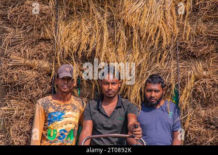 Bauern tragen Reisscheiben auf dem Traktor in Jashore, Bangladesch. Stockfoto