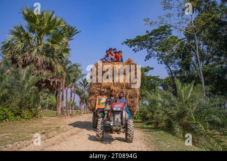 Bauern tragen Reisscheiben auf dem Traktor in Jashore, Bangladesch. Stockfoto