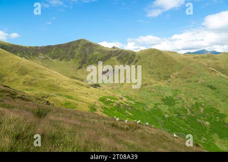 Blick nach Mynydd Tal-y-Mignedd vom Südostgrat von Craig Cwm Silyn Stockfoto