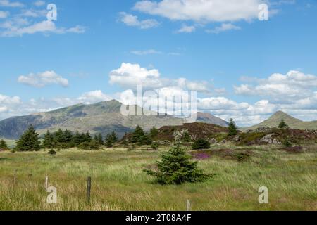 Spaziergang in der Nähe von Y Garn im Snowdonia Nationalpark mit Blick auf Snowdon. Stockfoto