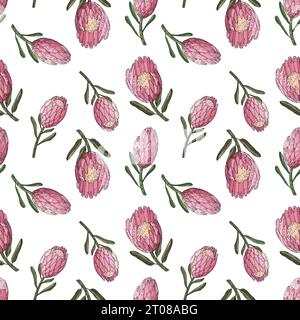 Hand gezeichnetes Vektornahtloses Muster von König Protea. Stock Vektor