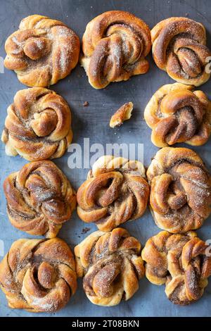 Hausgemachte Zimtbrötchen auf grauem Hintergrund Stockfoto