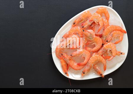 Frisch gekühlte Garnelen auf einer weißen Platte mit Eis auf grauem Hintergrund. Gekochte Garnelen auf einem Teller mit Eis, Draufsicht. Meeresfrüchte auf zerstoßenem Eis, gesundes Essen Stockfoto