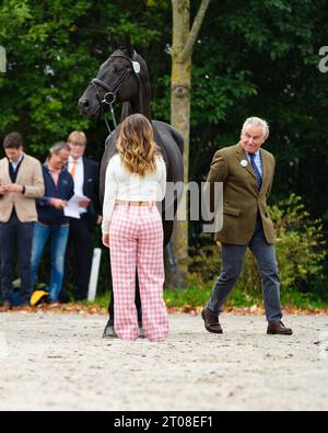 Laura COLLETT aus Großbritannien mit Dacapo während der ersten Pferdeinspektion bei den Boekelo Horse Trials CCIO 4*-NC-L am 4. Oktober 2023, Niederlande (Foto: Maxime David/MXIMD Pictures - mximd.com) Stockfoto