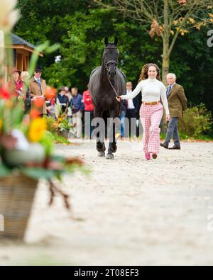 Laura COLLETT aus Großbritannien mit Dacapo während der ersten Pferdeinspektion bei den Boekelo Horse Trials CCIO 4*-NC-L am 4. Oktober 2023, Niederlande (Foto: Maxime David/MXIMD Pictures - mximd.com) Stockfoto