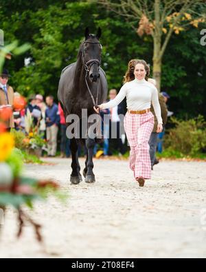 Laura COLLETT aus Großbritannien mit Dacapo während der ersten Pferdeinspektion bei den Boekelo Horse Trials CCIO 4*-NC-L am 4. Oktober 2023, Niederlande (Foto: Maxime David/MXIMD Pictures - mximd.com) Stockfoto