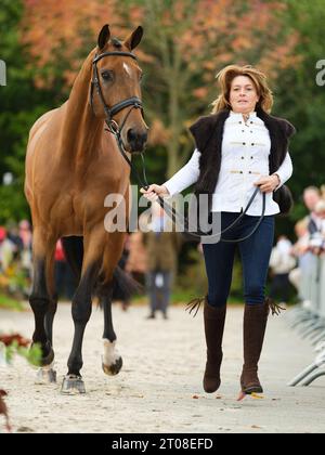 Selina MILNES aus Großbritannien mit Cooley Snapchat während der ersten Pferdeinspektion bei den Boekelo Horse Trials CCIO 4*-NC-L am 4. Oktober 2023, Niederlande (Foto: Maxime David/MXIMD Pictures - mximd.com) Stockfoto