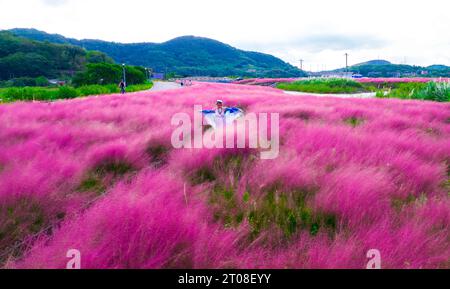 Peking, China. Oktober 2023. Dieses Luftbild, das am 4. Oktober 2023 aufgenommen wurde, zeigt eine Frau, die ein rosafarbenes Grasfeld (muhlenbergia capillaris) im Bezirk Beilun in Ningbo, der ostchinesischen Provinz Zhejiang, bereist. Quelle: Suo Xianglu/Xinhua/Alamy Live News Stockfoto