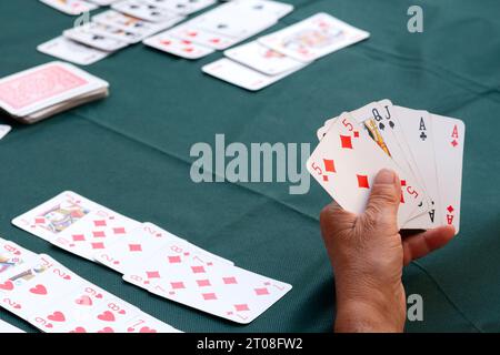 Eine alte Frau spielt in einem konkurrierenden Bridge Club Stockfoto
