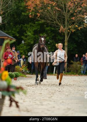 Rosalind CANTER aus Großbritannien mit MHS Seventeen während der ersten Pferdeinspektion bei den Boekelo Horse Trials CCIO 4*-NC-L am 4. Oktober 2023, Niederlande (Foto: Maxime David/MXIMD Pictures - mximd.com) Stockfoto