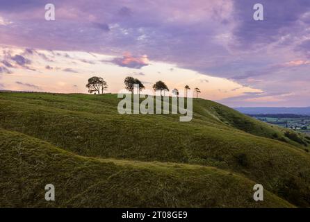 Blick auf den Roundway hinunter Hügel und Steilhang am Rande des nördlichen Wessex Downs Devizes Wiltshire im Südwesten Englands Großbritannien Stockfoto